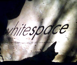 Learn more from the whitespace gallery!