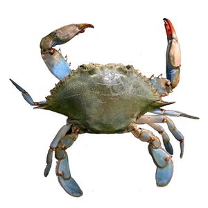 Click to Subscribe to www.ArtAndArtDeadlines.com by Email!