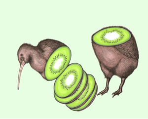 Kiwi Bird by Featured Artist Melody Sage