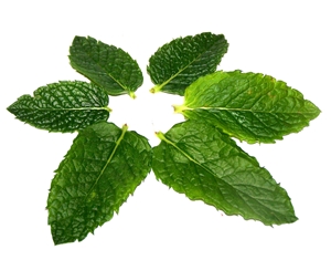 Click to Subscribe to www.ArtAndArtDeadlines.com by Email!