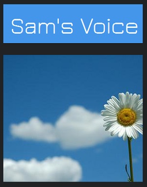 Learn more about Sams Voice and the Boxed In Exhbit!