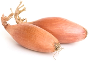 Click to Subscribe to www.ArtAndArtDeadlines.com by Email!