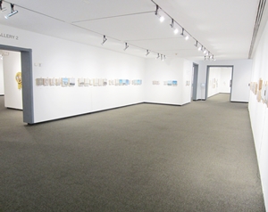 Learn more about the 9x12 Works on Paper Exhibit from the Fort Worth Community ARTS Center!
