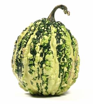 Click to Subscribe to www.ArtAndArtDeadlines.com by Email!