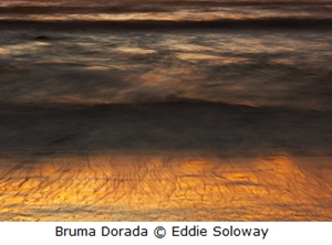 Learn more about the Five Elements exhibit at Darkroom Gallery!