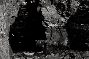 Learn more from the Kiernan Gallery!