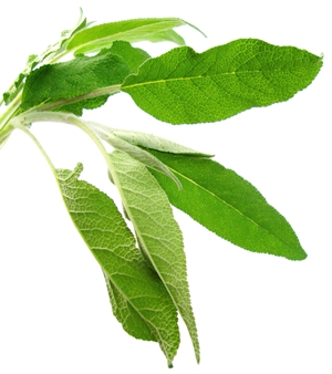 Click to Subscribe to www.ArtAndArtDeadlines.com by Email!