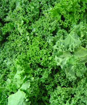 Submit your artwork to the $5 Art Contest