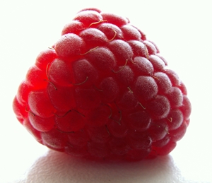 Enter the Featured Artist Contest today!