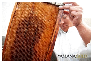 Read the Full Passion to Perform Call from Yamana Gold!