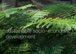 Read the Full Passion to Perform Call from Yamana Gold!