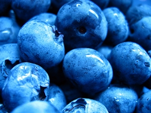 Enter the $5 Art Contest today!