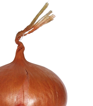 Enter the $5 Art Contest today!