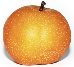 Enter the Featured Artist Contest today! 