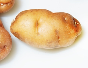 Enter the Featured Artist Contest today!