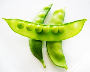 Enter the Featured Artist Contest today!