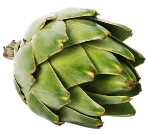 Enter the Featured Artist Contest today!