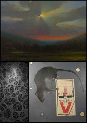 Learn more about Art Biologic from the Limner Gallery and SlowArt Productions!