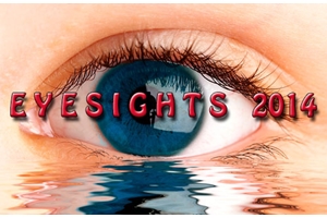 Learn more about Eyesights 2014 from the Guild of Creative Art!