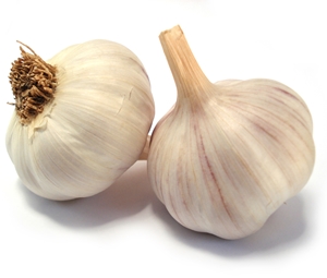 Learn more about the Featured Artist Contest!