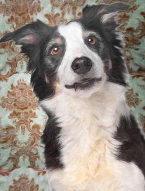 Learn more about the Man's Best Friend show from Las Laguna Gallery!