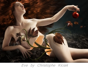 Learn more from Exhibitions Without Walls!