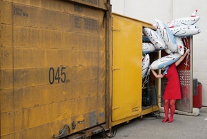 Learn more from Gallery Photographica!