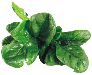 Enter the Featured Artist Contest today!