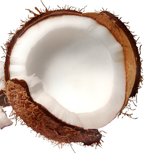 Learn more about the Camera USA exhibit from the Naples Art Association!