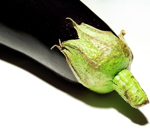 Learn more about the Hamiltonian Fellowship from the Hamiltonian Artists program!