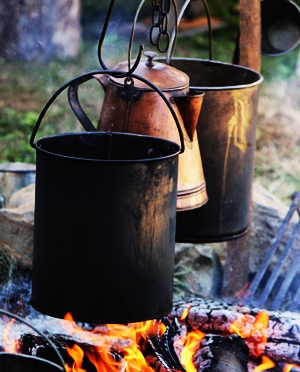 Learn more about the Kingdom exhibit from Manifest Gallery!