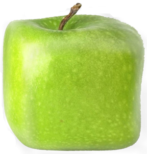 Learn more about the 6x6 ROCO show!