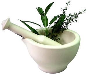 Learn more about the Art in the Garden exhibit!