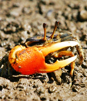 Learn more about the REtale show from the Non-Fiction Gallery!