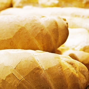 Learn more about the Shy Rabbit Print International!