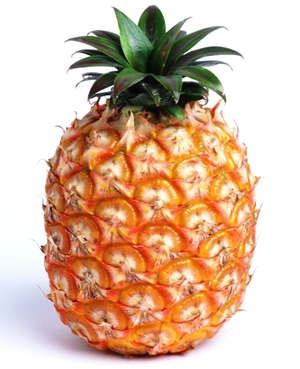 Learn more from the Gertrude Herbert Institute of Art!