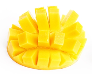 Learn more from the PH21 Gallery!