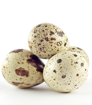 Learn more from the Runnels Gallery at ENMU!