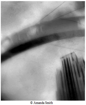 Learn more about the Downtown Exhibit from the A Smith Gallery!