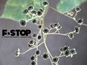 Learn more from F-Stop Magazine!