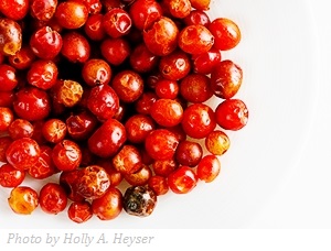 Learn more from Four Points Contemporary!