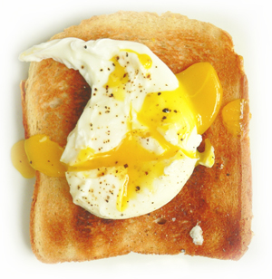 Learn more from the Kiernan Gallery!