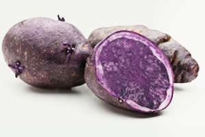 Learn more from the Majestic Galleries!