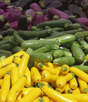 Learn more from the Northbrook Library!