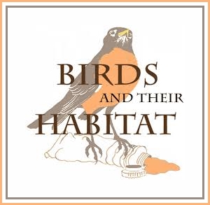 Learn about the Birds and their Habitat exhibit from the Connecticut Audubon Society!
