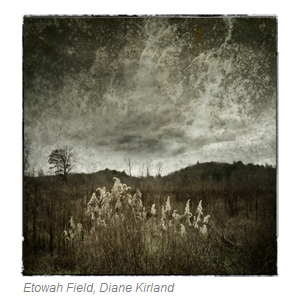 Learn more about the Slow Exposures Photography show!