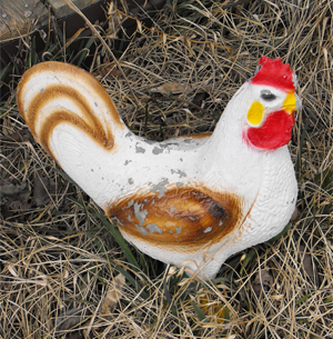 Learn more about the Slow Exposures show!