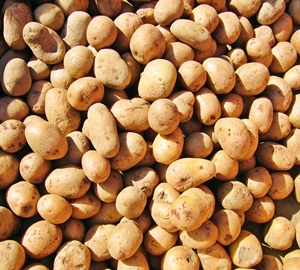 Learn more from F-Stop Magazine!