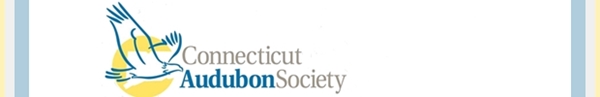 Learn more from the Connecticut Audubon Society!
