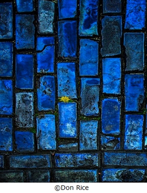 Learn more about the Blue exhibit from the Darkroom Gallery!